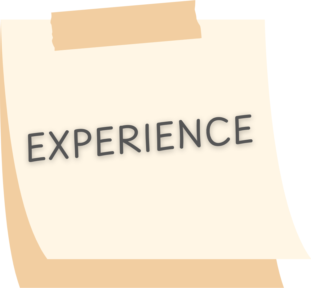 Experience